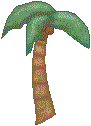 Small Palm Tree