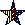 Striped Star