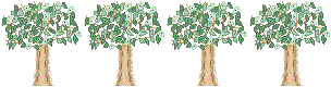 Tree Line