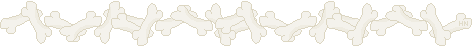 Bones