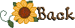 Craft Room