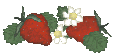 Berries and Flowers