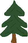 Pine Tree
