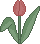 Pink Flower