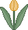 Yellow Flower