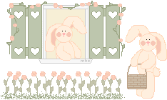 Window Bunnies