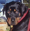 Jager's
homepage