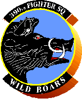 FS-390 Fighter Squadron