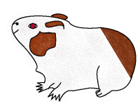piggen-r.gif  