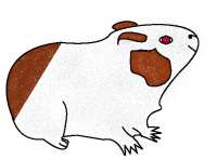 piggen.gif  