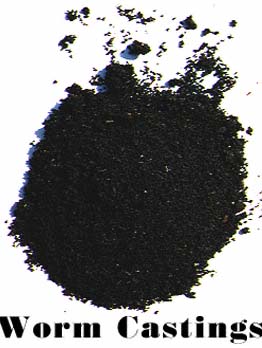 download earthworm castings download earthworm castings
