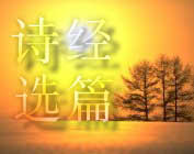 �ָg��g