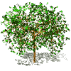 Save the Earth....plant trees.