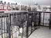 SD.COBKENNELS