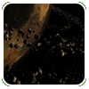 t-XTerr3.gif (8122 bytes)