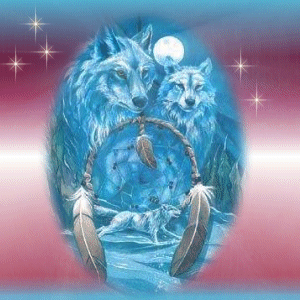 wolven%2009.gif (63709 bytes)