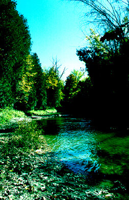 Autumn 4 JPG