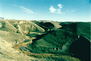 Coulee