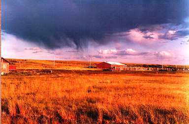 Farm northeast of Taber
