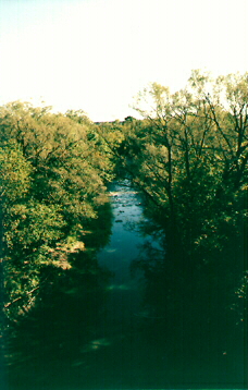 Oshawa Creek from CN bridge