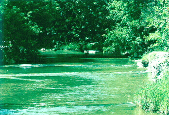 Oshawa Creek from under Mills St. bridge