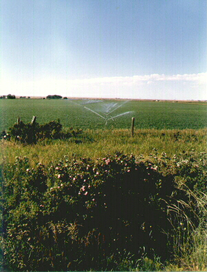 Farm