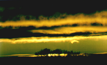 Chinook sunset
