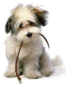 wanna walk?
