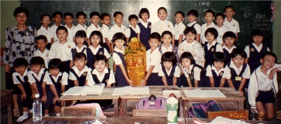 schooling 1