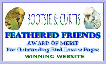 Feathered Friends Award