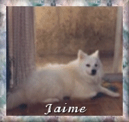 Jaime