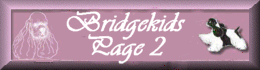 Bridgekids page 2