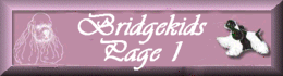 Bridgekids Page 1