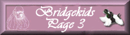 Bridgekids page 3