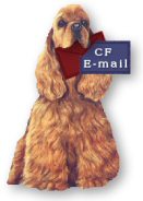 Send E-Mail