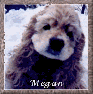 Megan