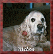 Miles