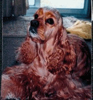 Rusty