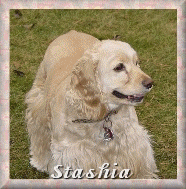 Stashia