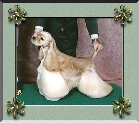 Dudley winning 
BEST IN SHOW
#2