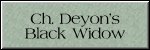 CLICK HERE FOR
CH. DEYON'S BLACK WIDOW