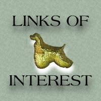OUR FAVORITE
WEBSITES