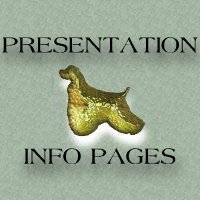 PRESENTATION
AND HANDLING
INFORMATION