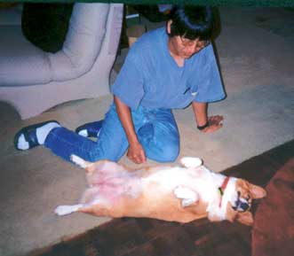 coco and max