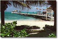 beachcaulker.gif (15839 bytes)