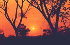 dawn.JPG (7389 bytes)