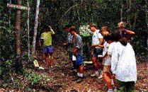 ecotour.JPG (18083 bytes)