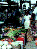 market.gif (11788 bytes)