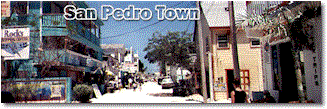 sanpedrotw.gif (21860 bytes)