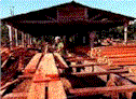 sawmill.gif (6869 bytes)
